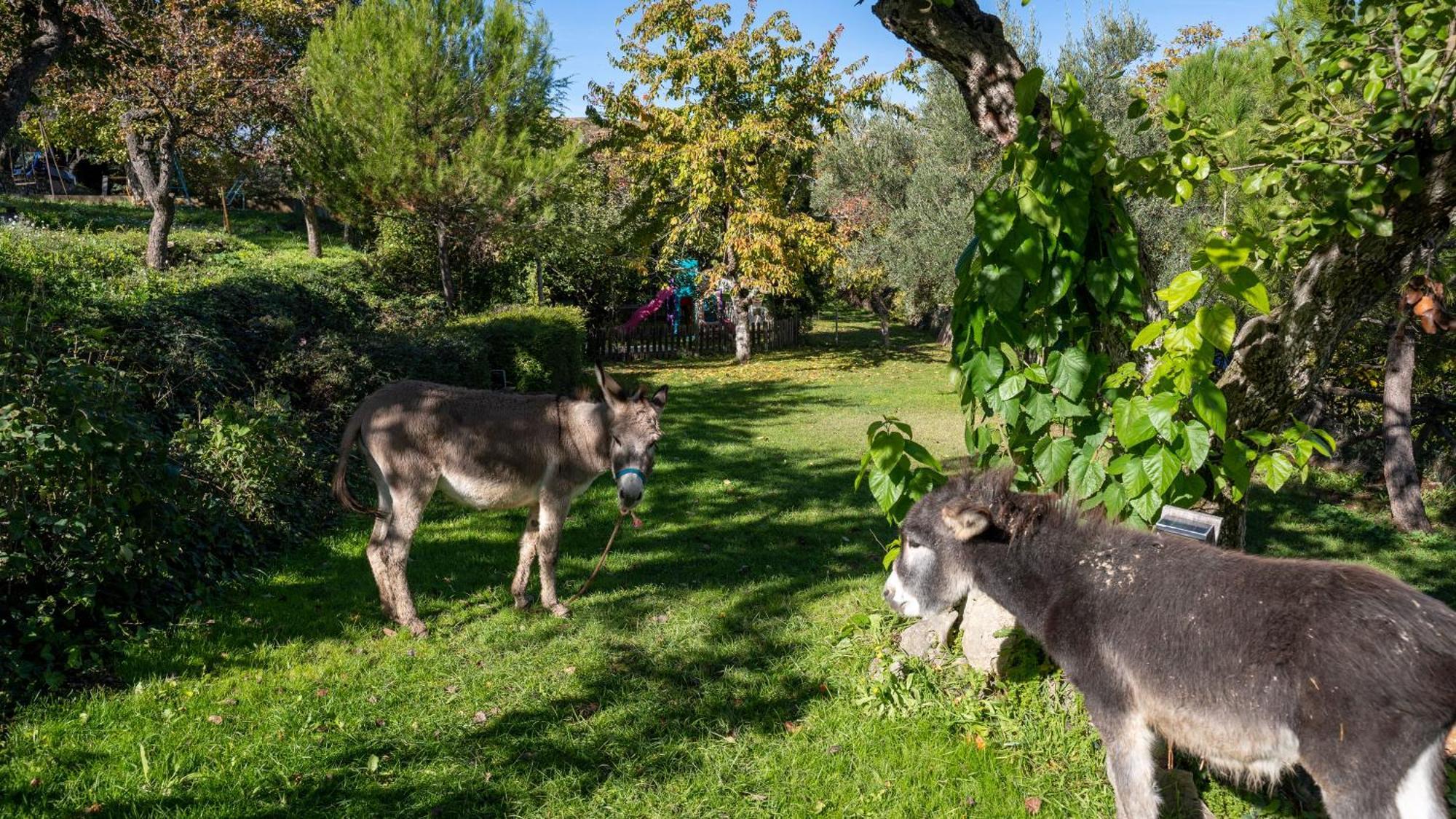 El Zarzal Pension Horche Buitenkant foto