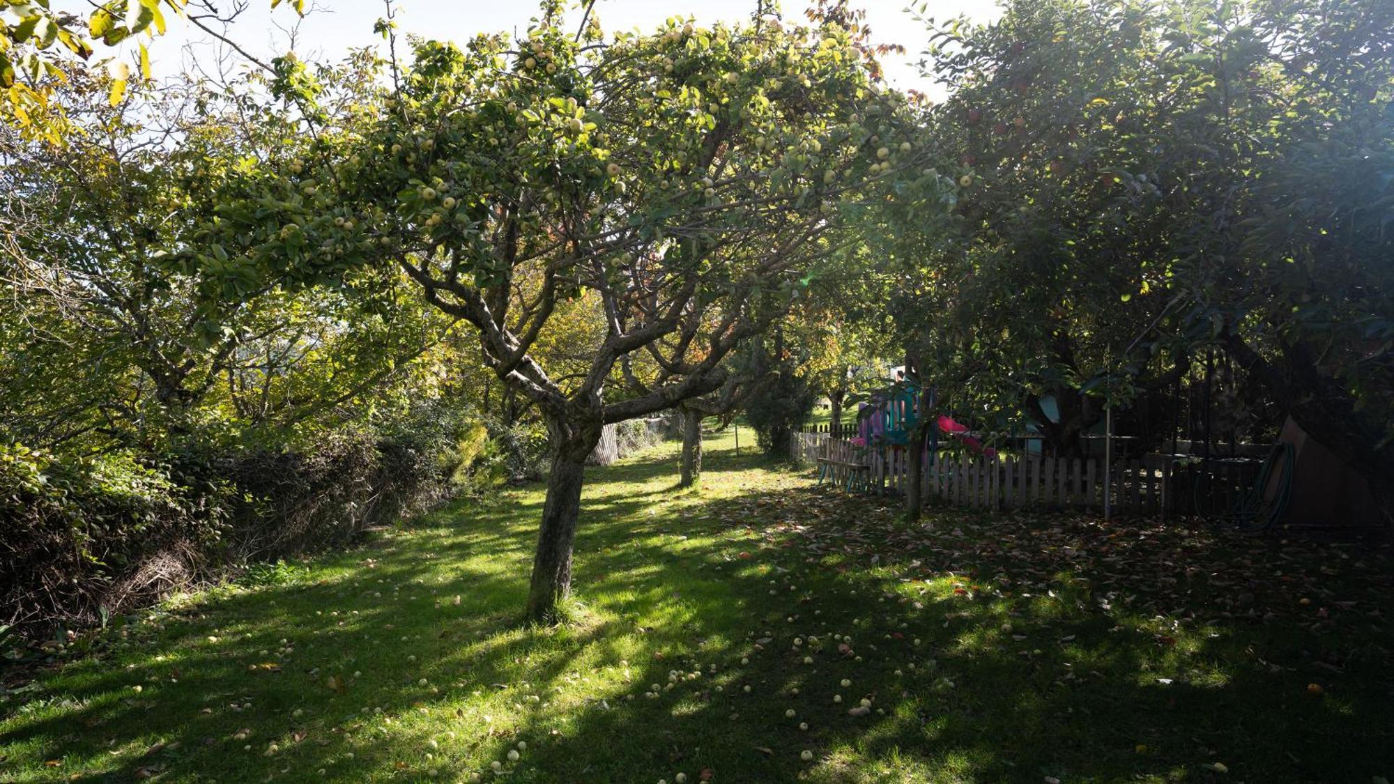 El Zarzal Pension Horche Buitenkant foto