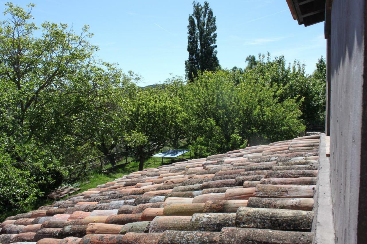 El Zarzal Pension Horche Buitenkant foto